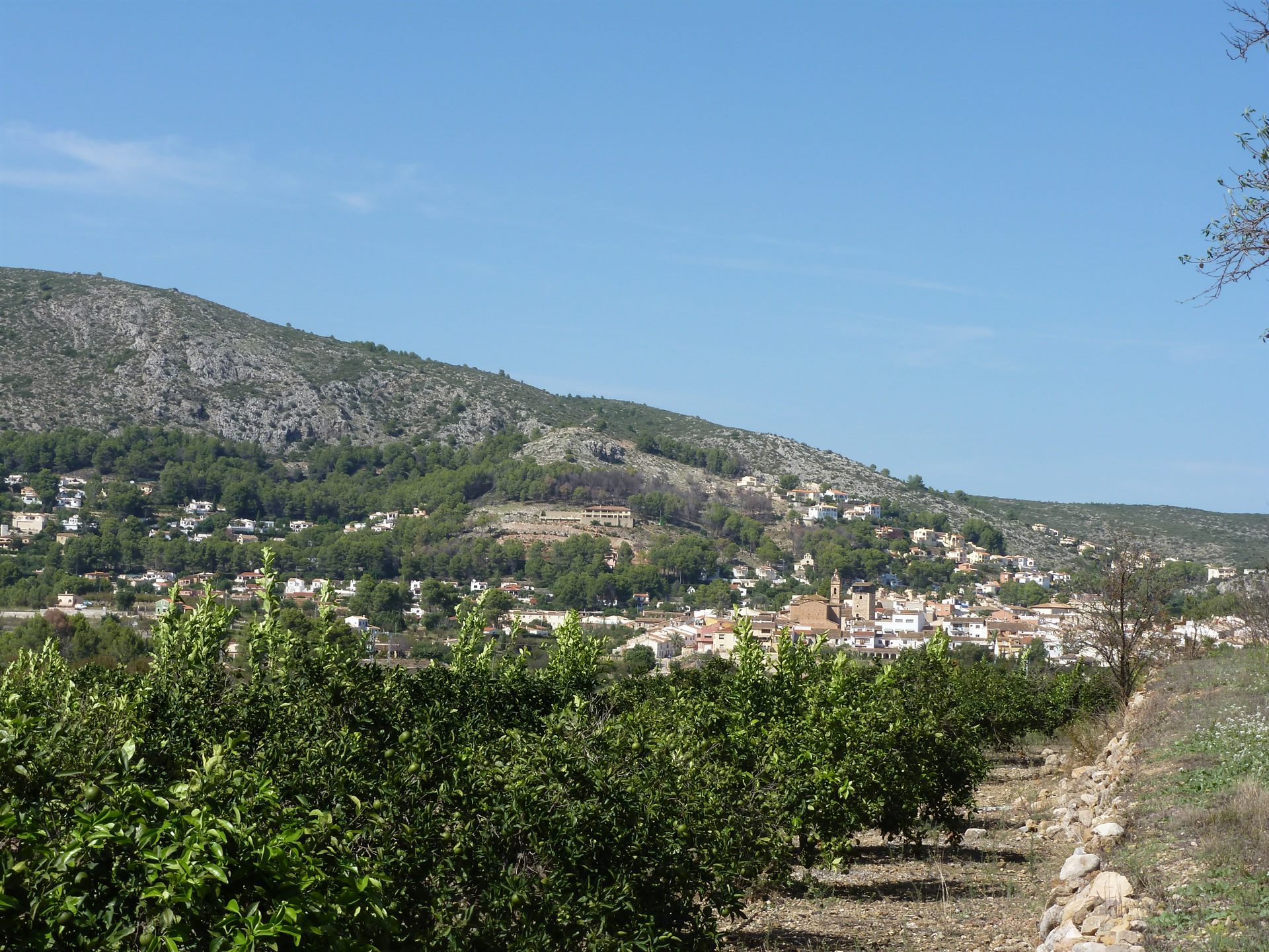 Paisaje del valle del Jalón en septiembre